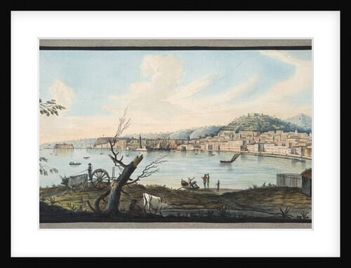 Bay of Naples from sea shore near the Maddalena Bridge by Pietro Fabris