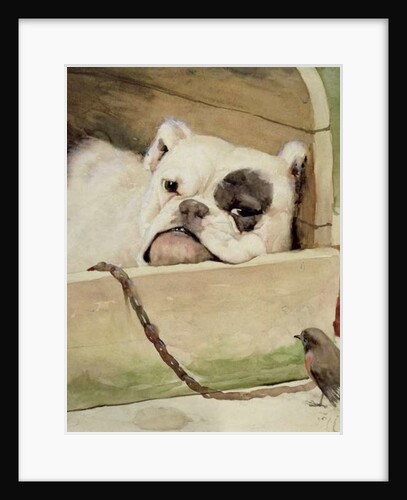 Bulldog, 1927 by Cecil Charles Windsor Aldin