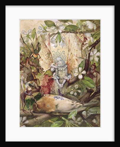 The Death of Cock Robin, 1860-70 by John Anster Fitzgerald