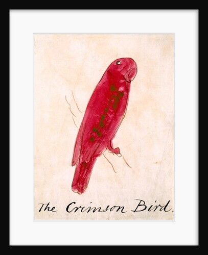 The Crimson Bird by Edward Lear