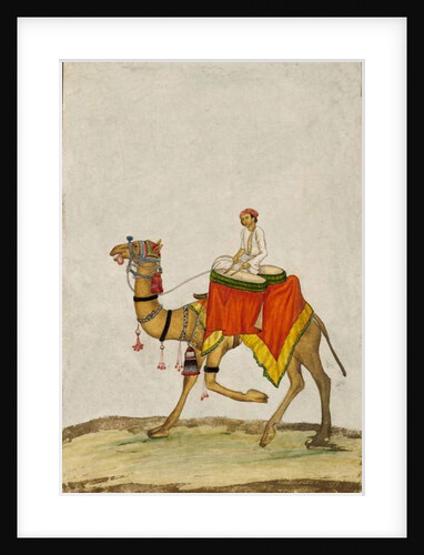 A Camel with its Rider playing Drums, c. 1840 by French School
