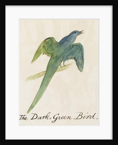 The Dark Green Bird by Edward Lear