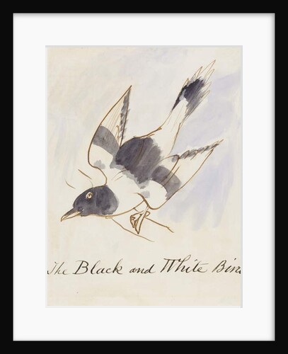 The Black and White Bird by Edward Lear