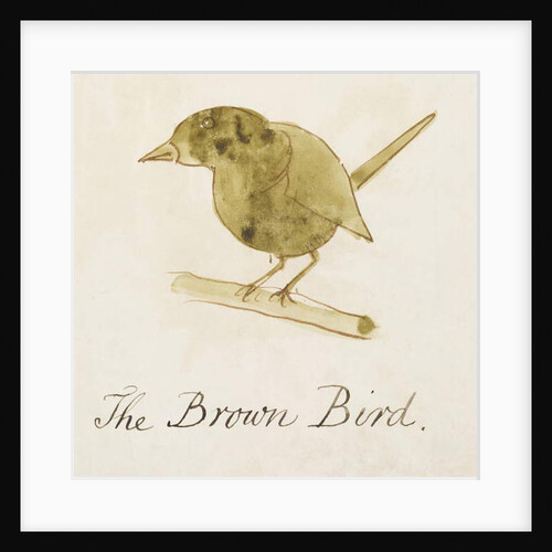 The Brown Bird by Edward Lear