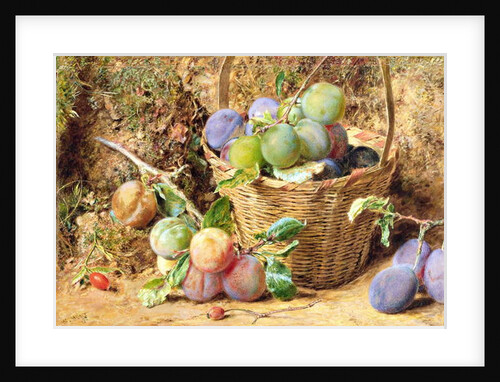 Plums by William Henry Hunt