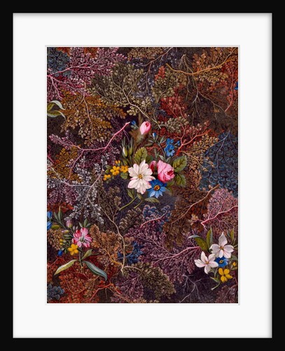 Textile design, c.1788-92 by William Kilburn