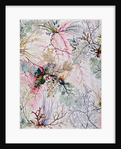 Textile design, c.1788-92 by William Kilburn