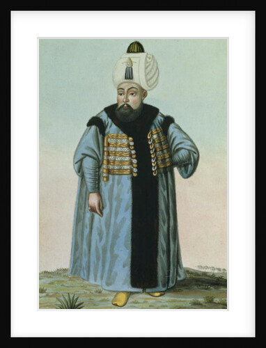 Selim II called 'Sari', the Blonde or the Sot, Sultan 1566-74 by John Young