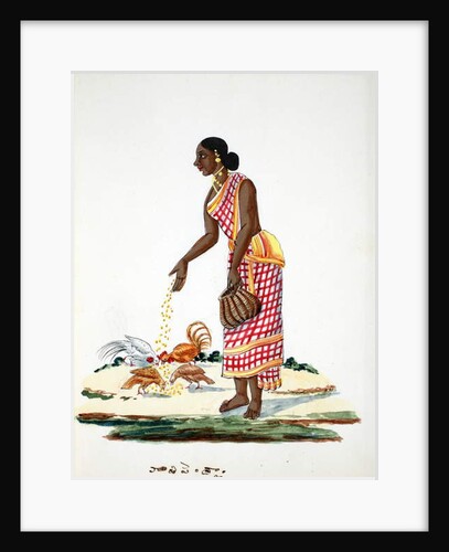 Woman feeding chickens by Indian School