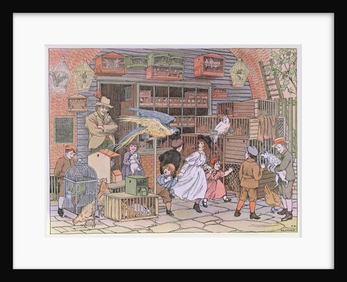 The Pet Shop by Francis Donkin Bedford