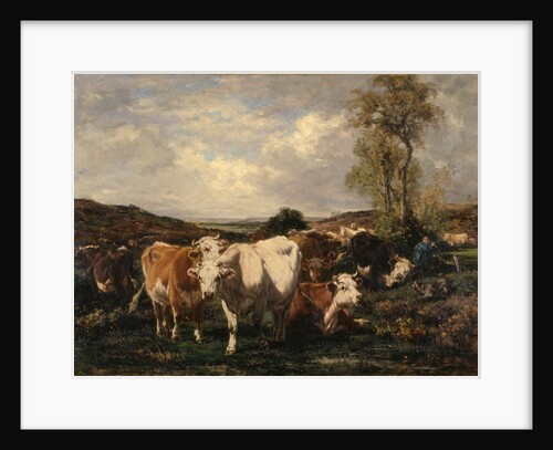 Herd by Marie Dieterle