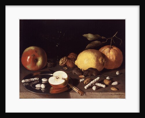 Still Life with Mice, 1619 by Lodewik Susi