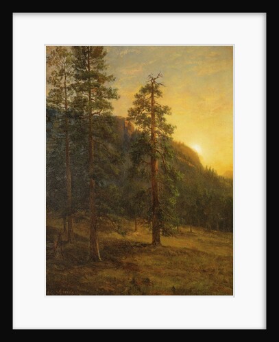 California Redwoods, 1872 by Albert Bierstadt
