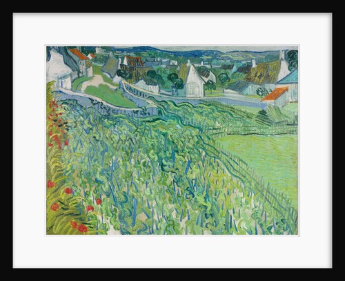 Vineyards at Auvers, June 1890 by Vincent van Gogh