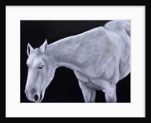 Ghost by Stevie Taylor