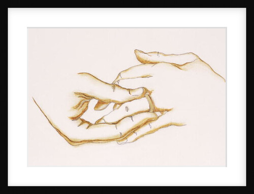 The Ring, 2007 by Stevie Taylor