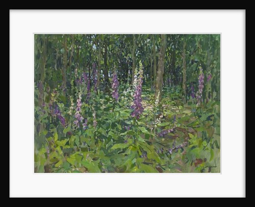 Foxgloves by Susan Ryder