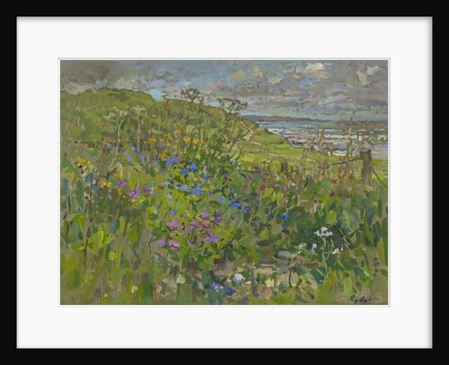 Headland Flowers near Berwick by Susan Ryder