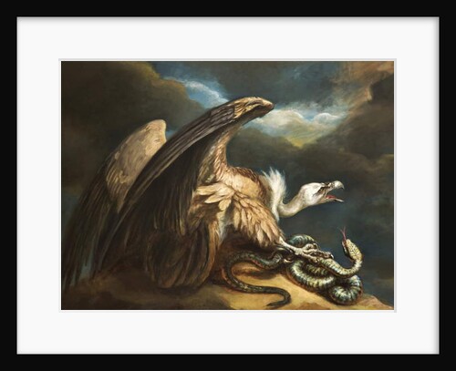 Vulture and Snake, 1798 by James Northcote