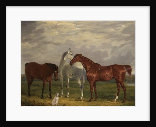 Three Horses of the 2nd Lord de Tabley and His Dog, 'Vic', 1838 by Henry Calvert