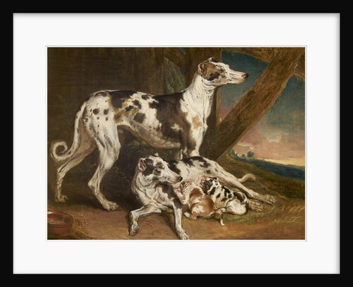 Dalmatian Dogs by James Ward