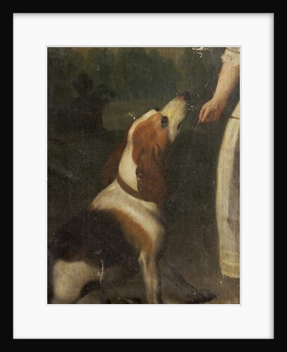 A Hound by School English