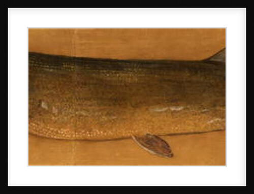 Pike by Henry Thomson