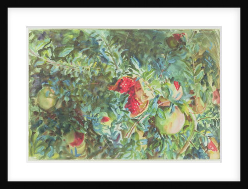 Pomegranates, 1908 by John Singer Sargent
