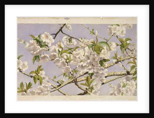 Apple Blossoms, c.1874 by John William Hill