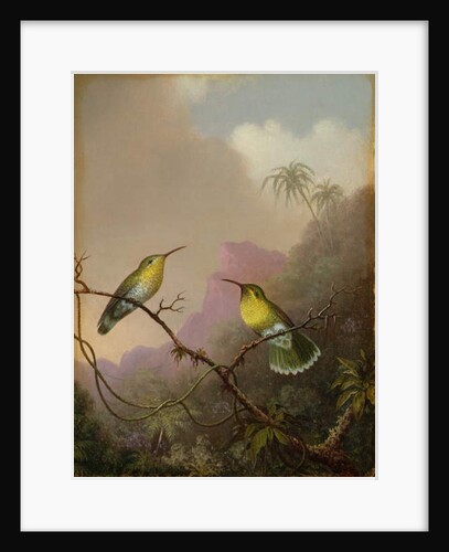 Two Hummingbirds, c.1865-75 by Martin Johnson Heade