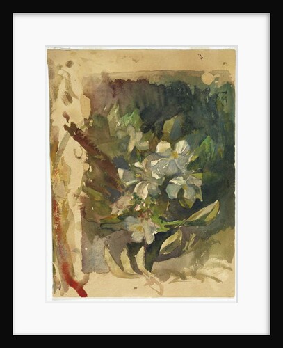 Apple Blossoms in Sunlight by John La Farge or Lafarge