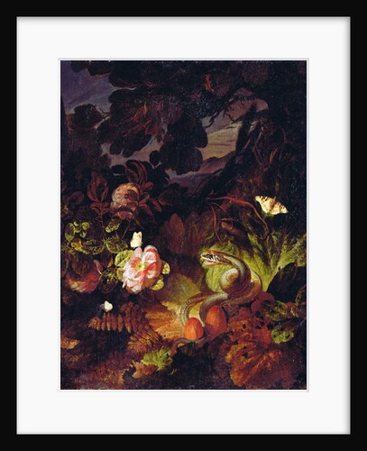 Flowers, Snake and Butterflies by Otto Marseus van Schrieck