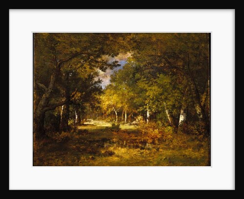 Forest Scene, c.1844-60 by Narcisse Virgile Diaz de la Pena