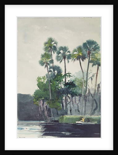 Homosassa River, 1904 by Winslow Homer