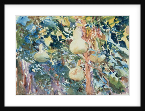 Gourds, c.1905 by John Singer Sargent