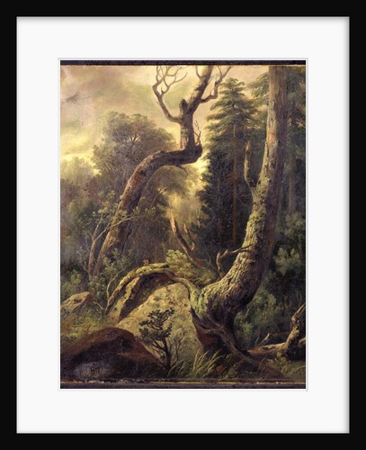 Forest Landscape by Asher Brown Durand