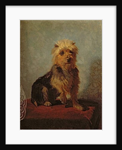 Chadwick's Dog, 1874 by Abbott Handerson Thayer