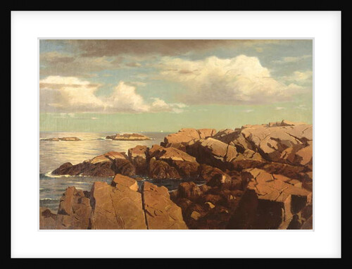 After a Shower, Nahant, Massachusetts, 1864 by William Stanley Haseltine