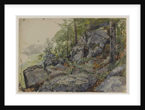 Woodland Boulders, c.1877-78 by William Trost Richards