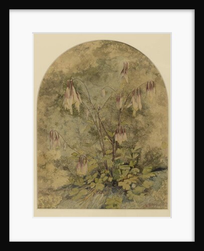 Wildflowers by John William Hill