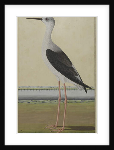 Water Bird in a Landscape, c.1780 by Indian School