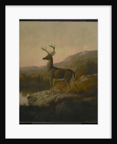 Deer, 1855 by Thomas Hewes Hinckley