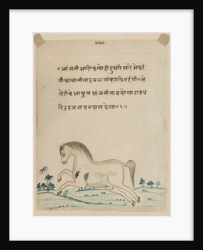 Horse by Indian School