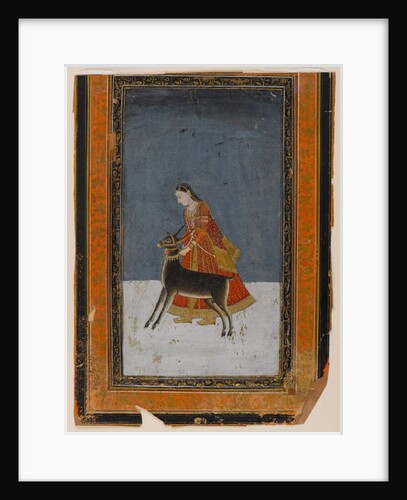 Lady with a black buck, c.1750 by Indian School