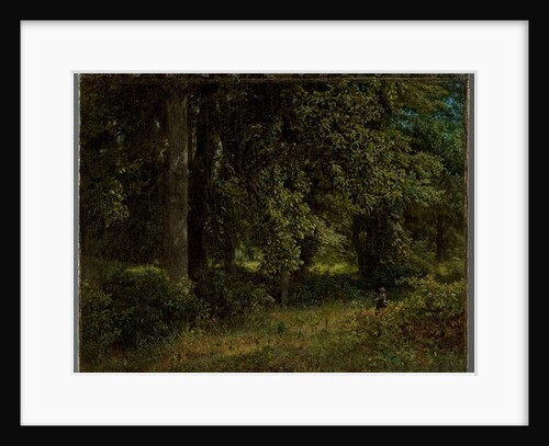 Tulip trees, 1859 by William Trost Richards