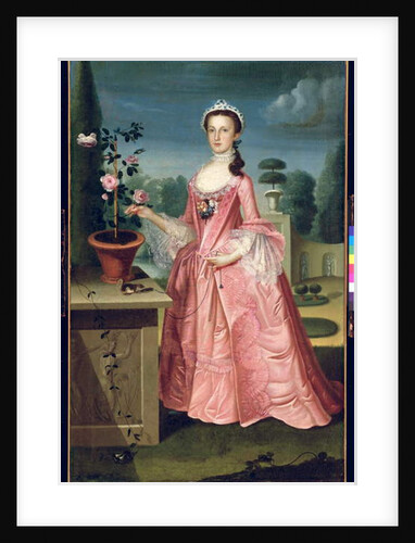 Portrait of Deborah Hall, 1766 by William Williams