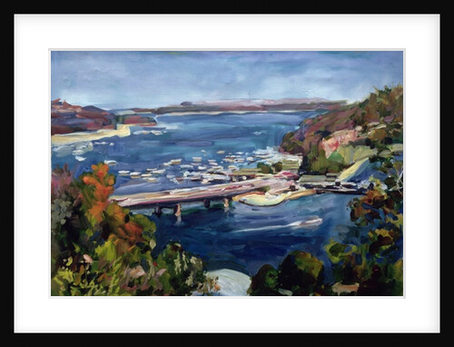 The Sydney Split, 1995 by Ted Blackall
