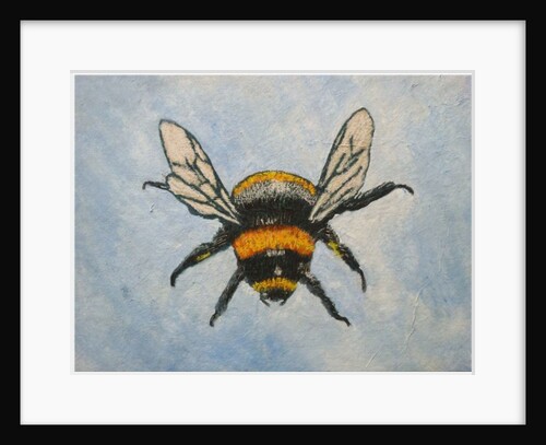 Bumble bee, 2015 by Sarah Thompson-Engels
