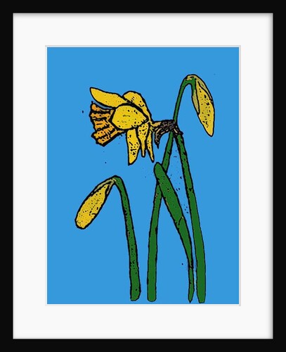 Daffodils, 2015 by Sarah Thompson-Engels