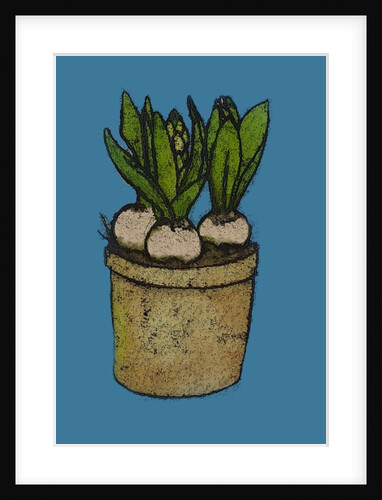 Hyacinths, 2016 by Sarah Thompson-Engels